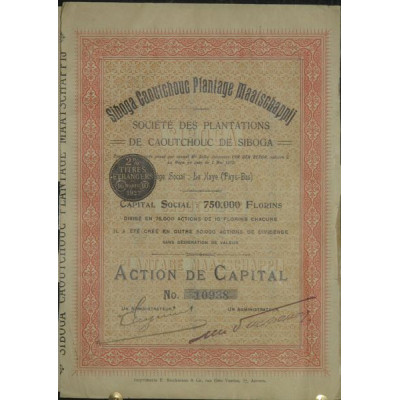 Sté des Plantations de Caoutchouc de Siboga (1 Act)