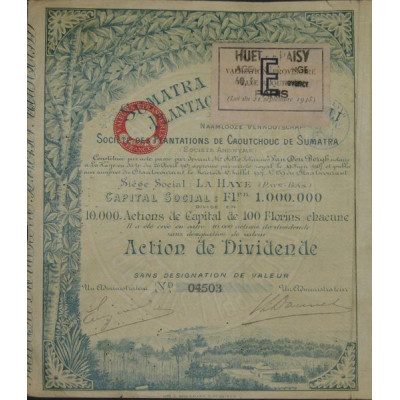 Sté des Plantations de Caoutchouc de Sumatra (Dividende)