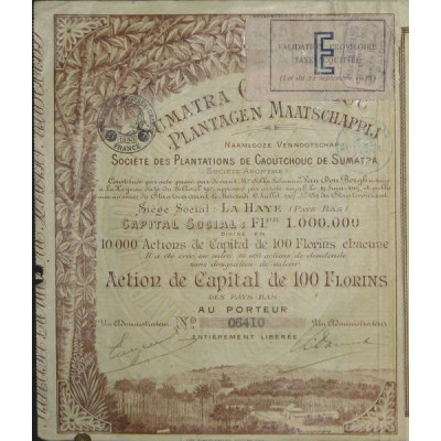 Sté des Plantations de Caoutchouc de Sumatra (Capital)