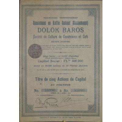 Dolok Baros Sté de Culture de Caoutchouc et Café (Capital)