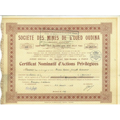 Sté des Mines de l'Oued Oudina (Certif Act P)