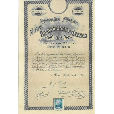 Cia Minera Nuevas Golondrinas y Anexas S.A.