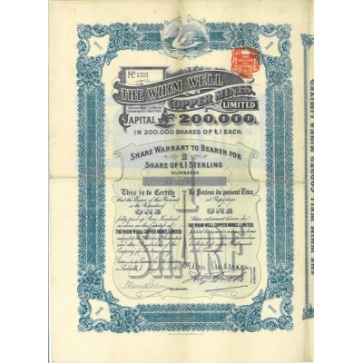 The Whim Well Copper Mines (1 Ac)