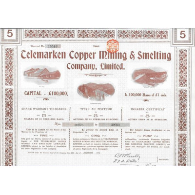 The Telemarken Copper Mining & Smelting Cy Ltd