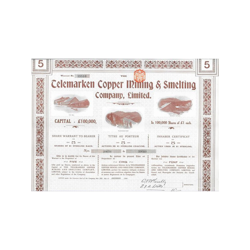 The Telemarken Copper Mining & Smelting Cy Ltd