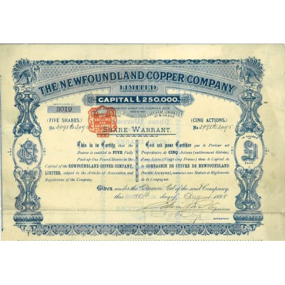 The Newfoundland Copper Cy Ltd
