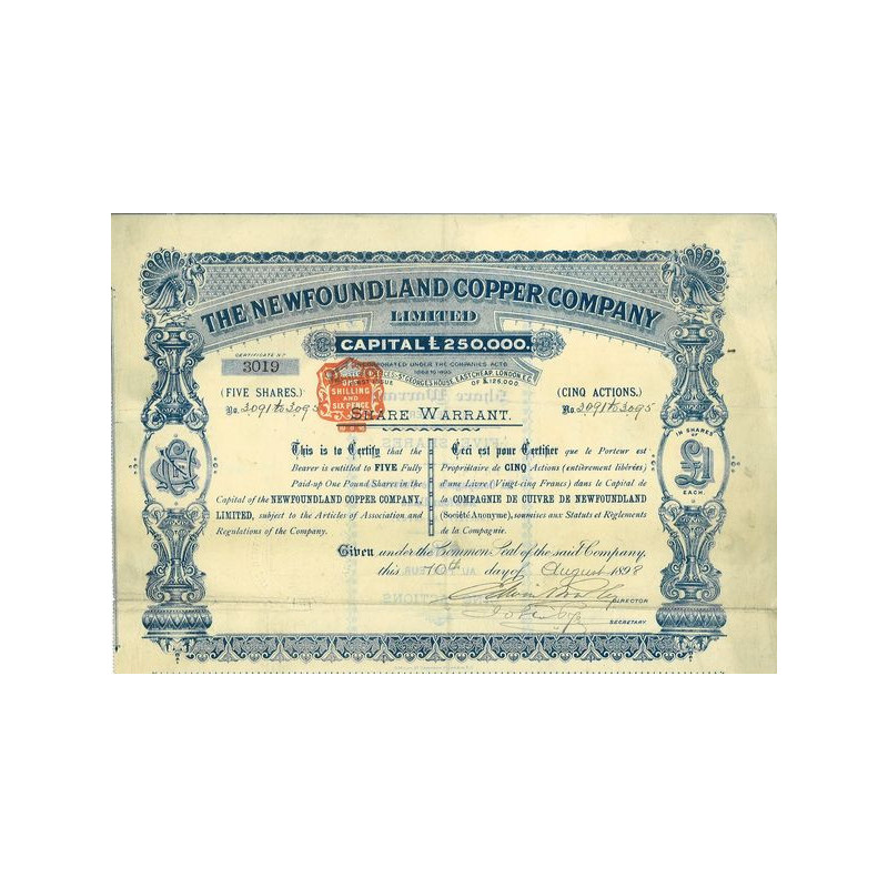 The Newfoundland Copper Cy Ltd