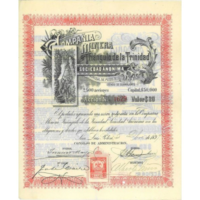 Cia Minera Triangulo de la Trinidad