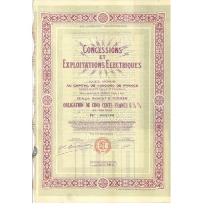 Concessions et Exploitations Electriques