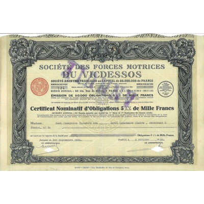 Sté des Forces Motrices de Vicdessos