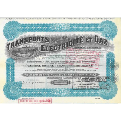 Transports Electricité et Gaz
