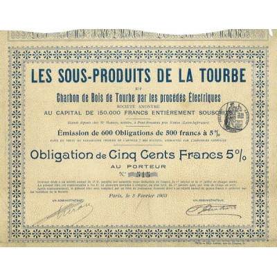 Les Sous-Produits de la Tourbe et Charbon de Bois de Tourbe par les Procédés Electriques