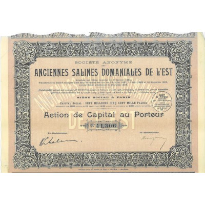 S.A. des Anciennes Salines Domaniales de l'Est (Cap)