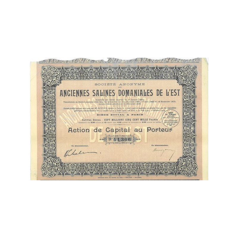 S.A. des Anciennes Salines Domaniales de l'Est (Cap)