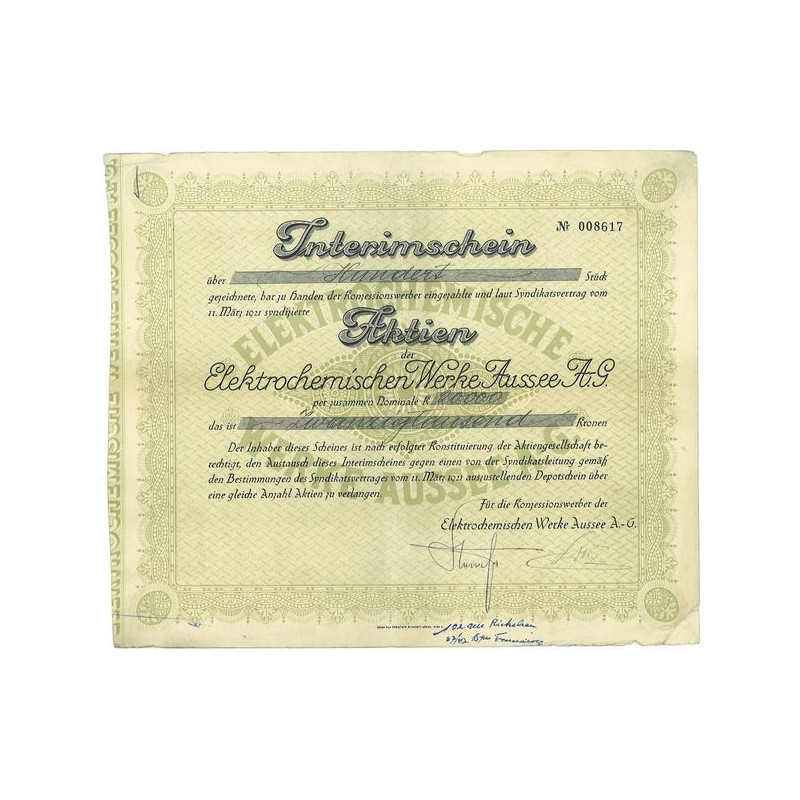 Elektrochemischen Werke Aussee A.-G.