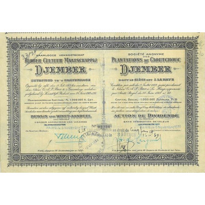 Plantations de Caoutchouc de Djember